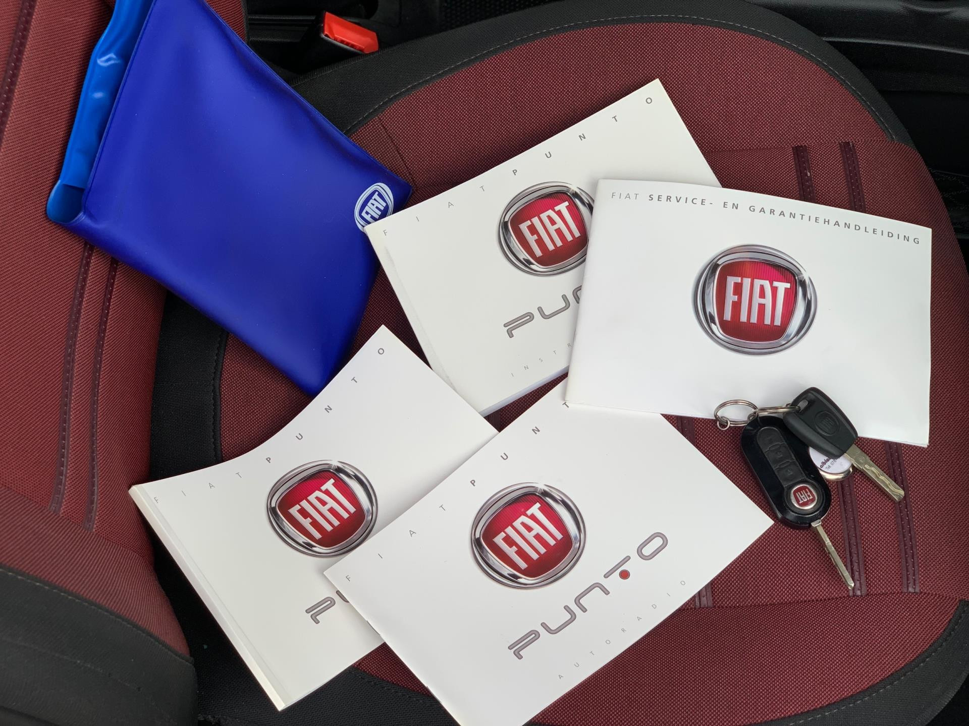 Hoofdafbeelding Fiat Punto