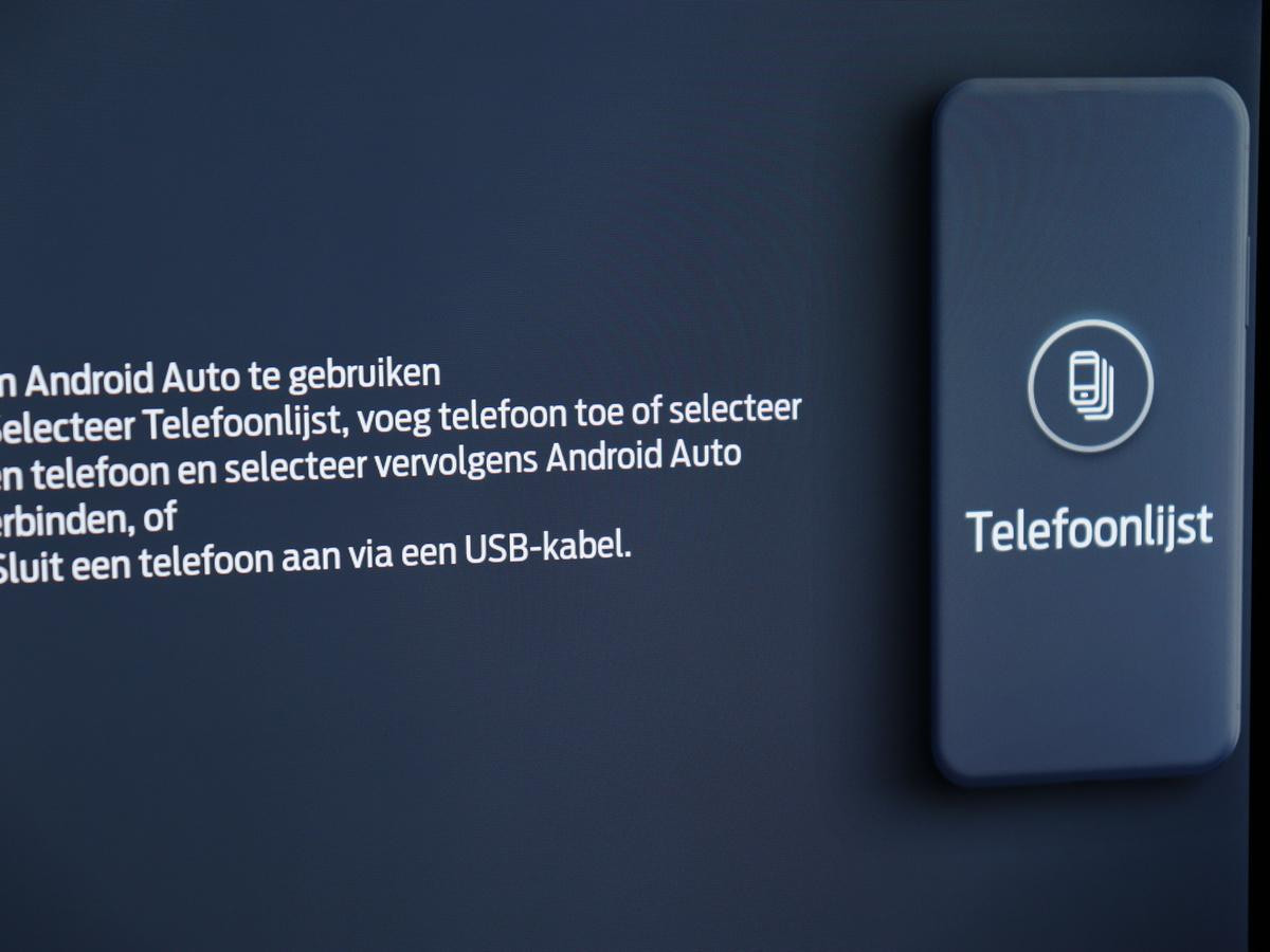 Hoofdafbeelding Ford Mustang Mach-E