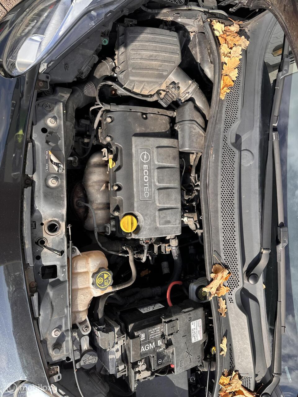 Hoofdafbeelding Opel ADAM