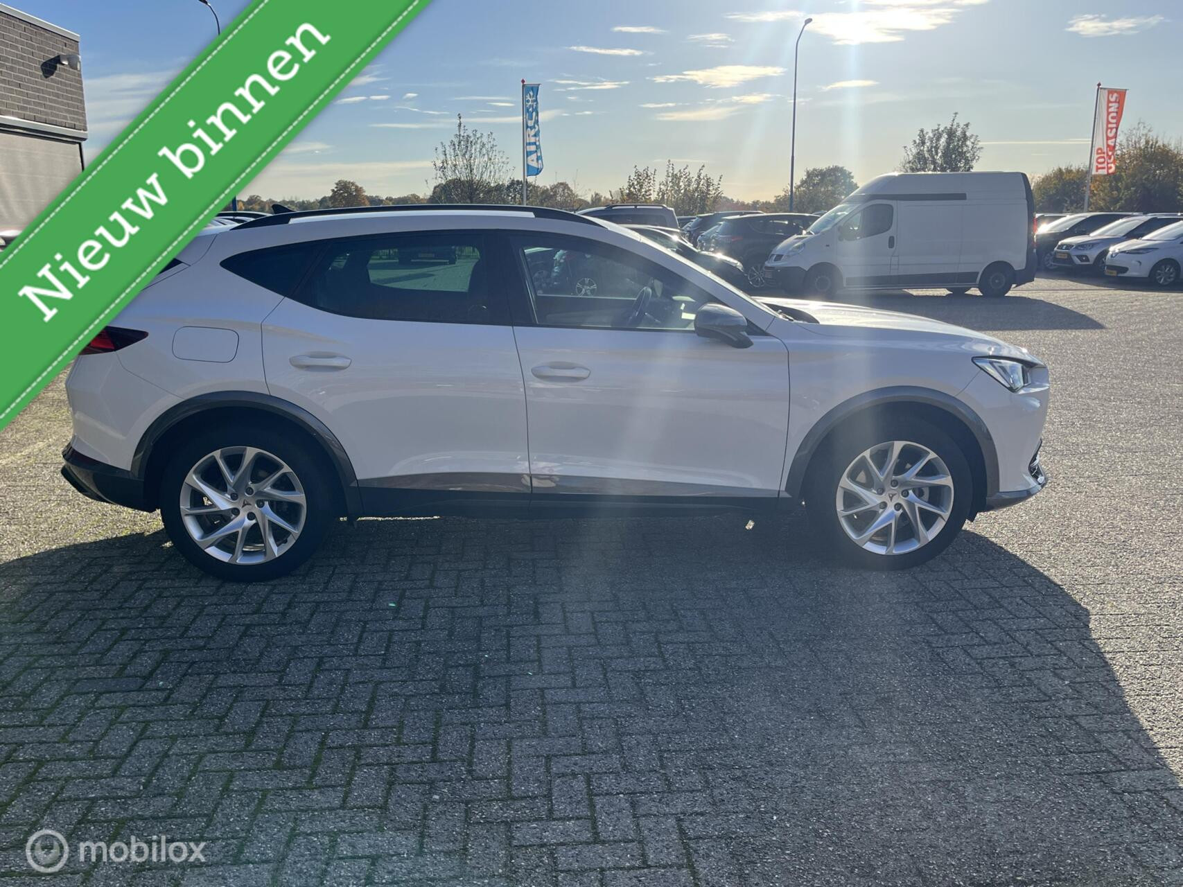 Hoofdafbeelding CUPRA Formentor