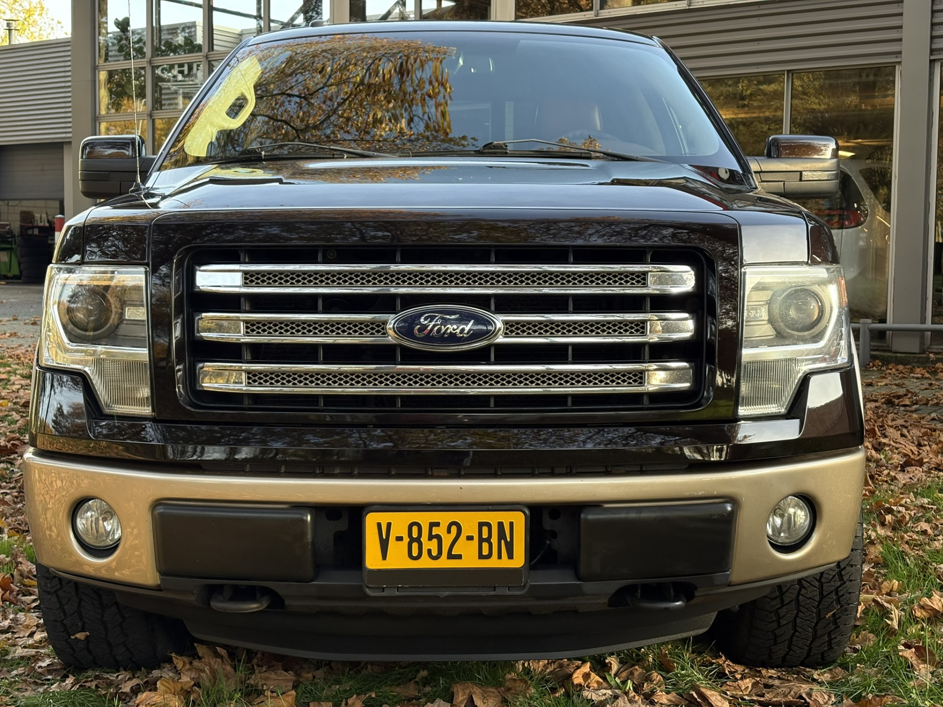 Hoofdafbeelding Ford F-150