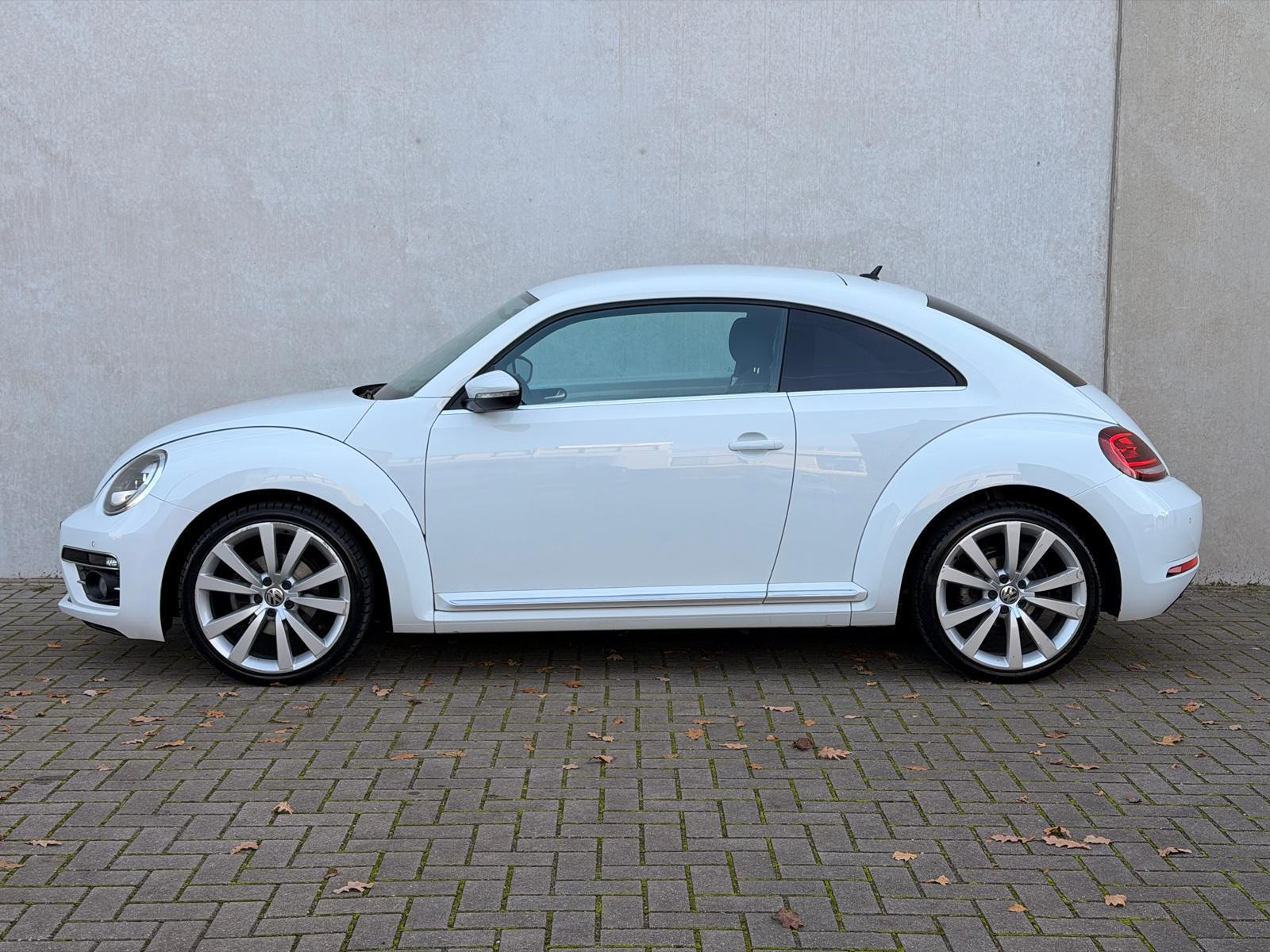 Hoofdafbeelding Volkswagen Beetle