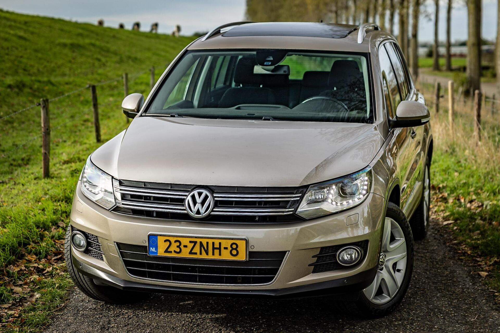 Hoofdafbeelding Volkswagen Tiguan