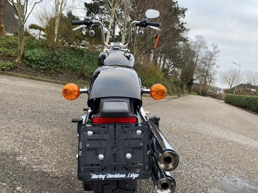 Hoofdafbeelding Harley-Davidson Softail