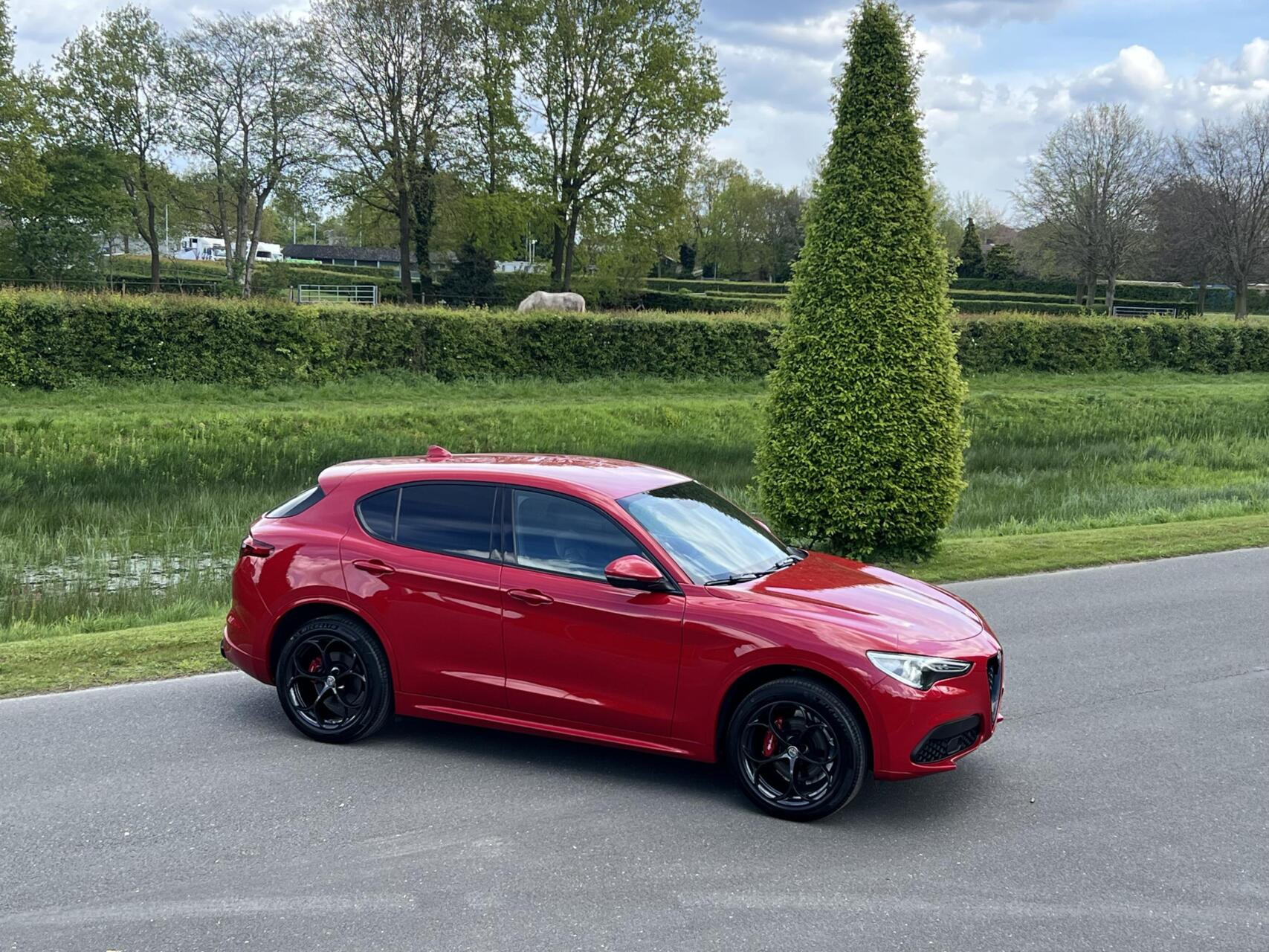 Hoofdafbeelding Alfa Romeo Stelvio