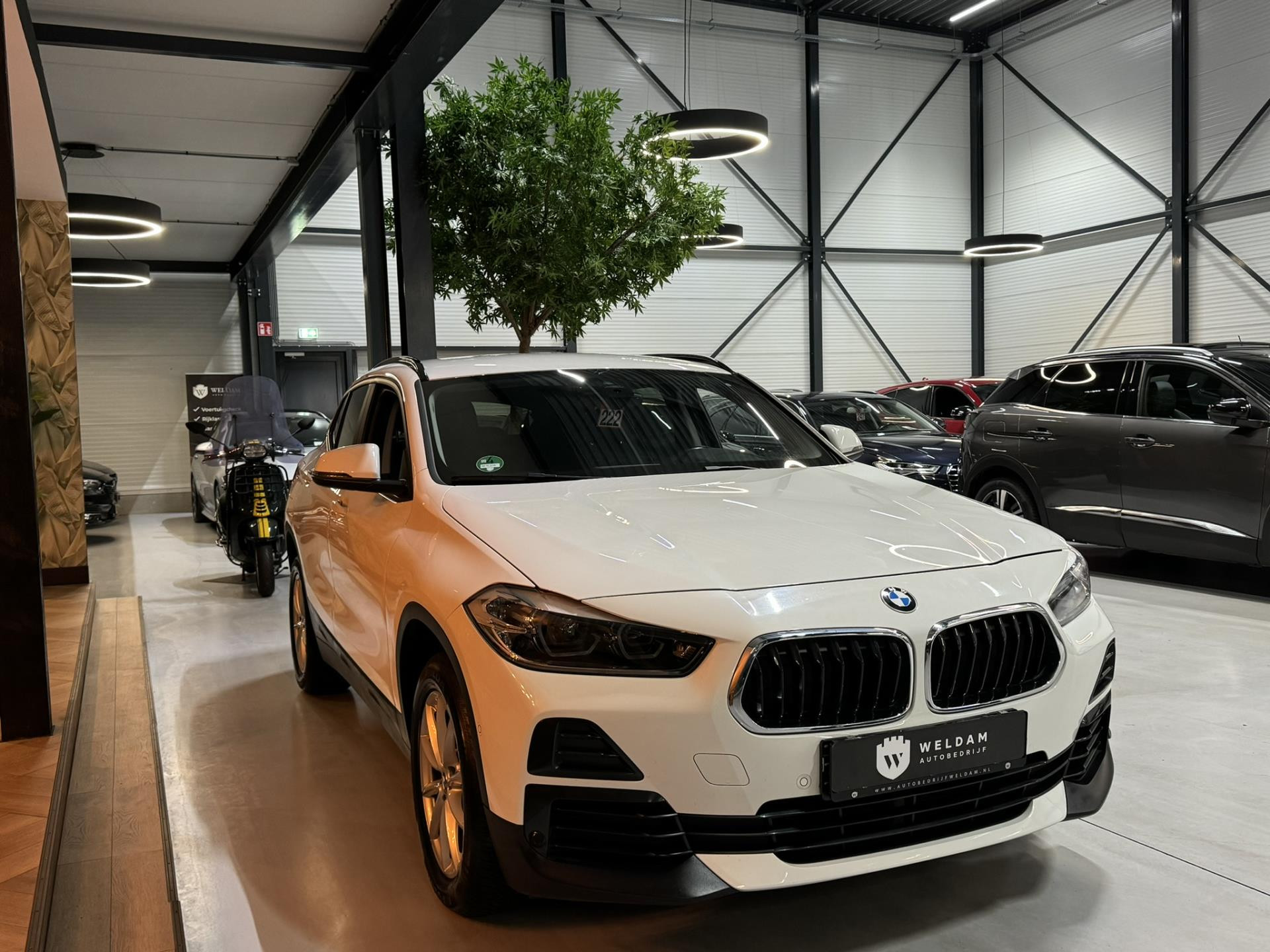 Hoofdafbeelding BMW X2