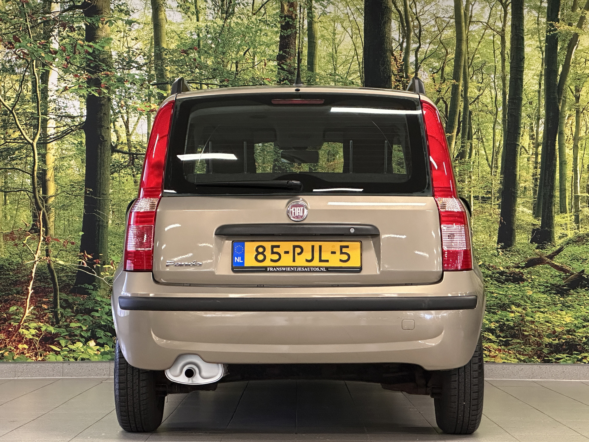 Hoofdafbeelding Fiat Panda