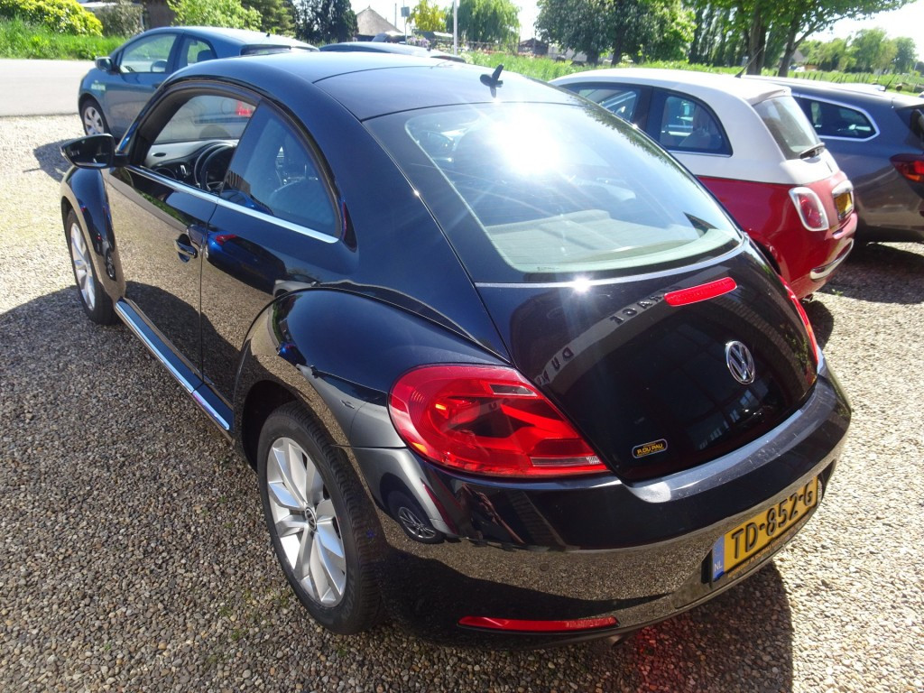 Hoofdafbeelding Volkswagen Beetle