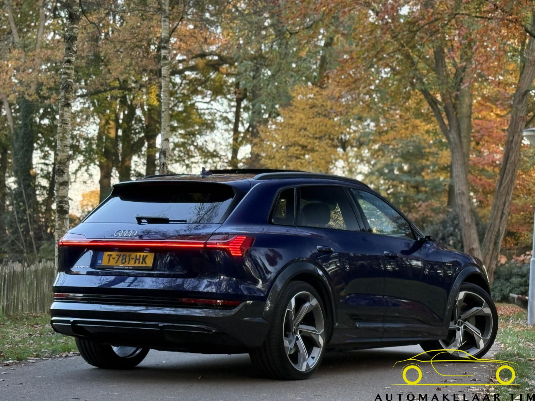 Hoofdafbeelding Audi e-tron