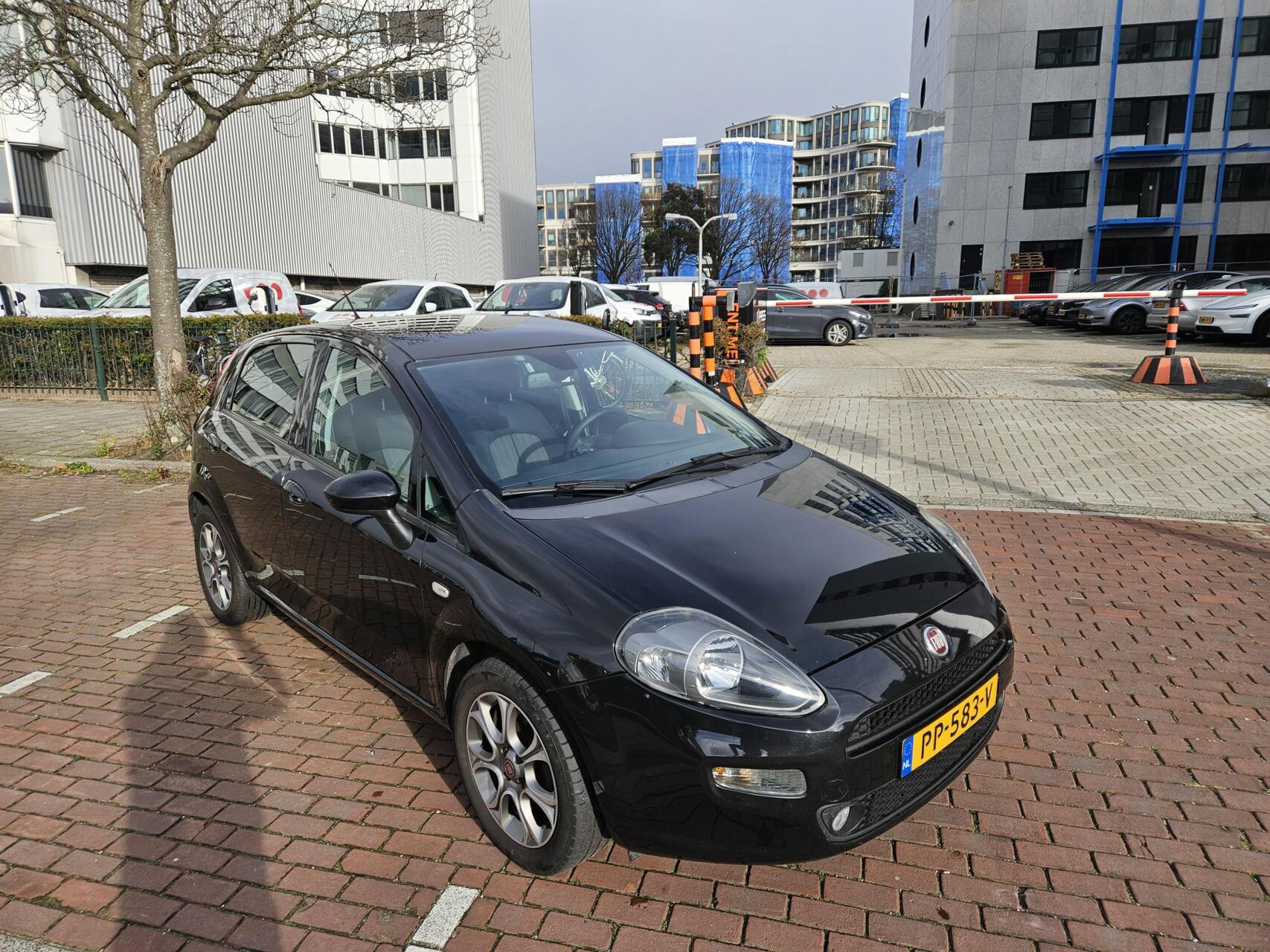 Hoofdafbeelding Fiat Punto