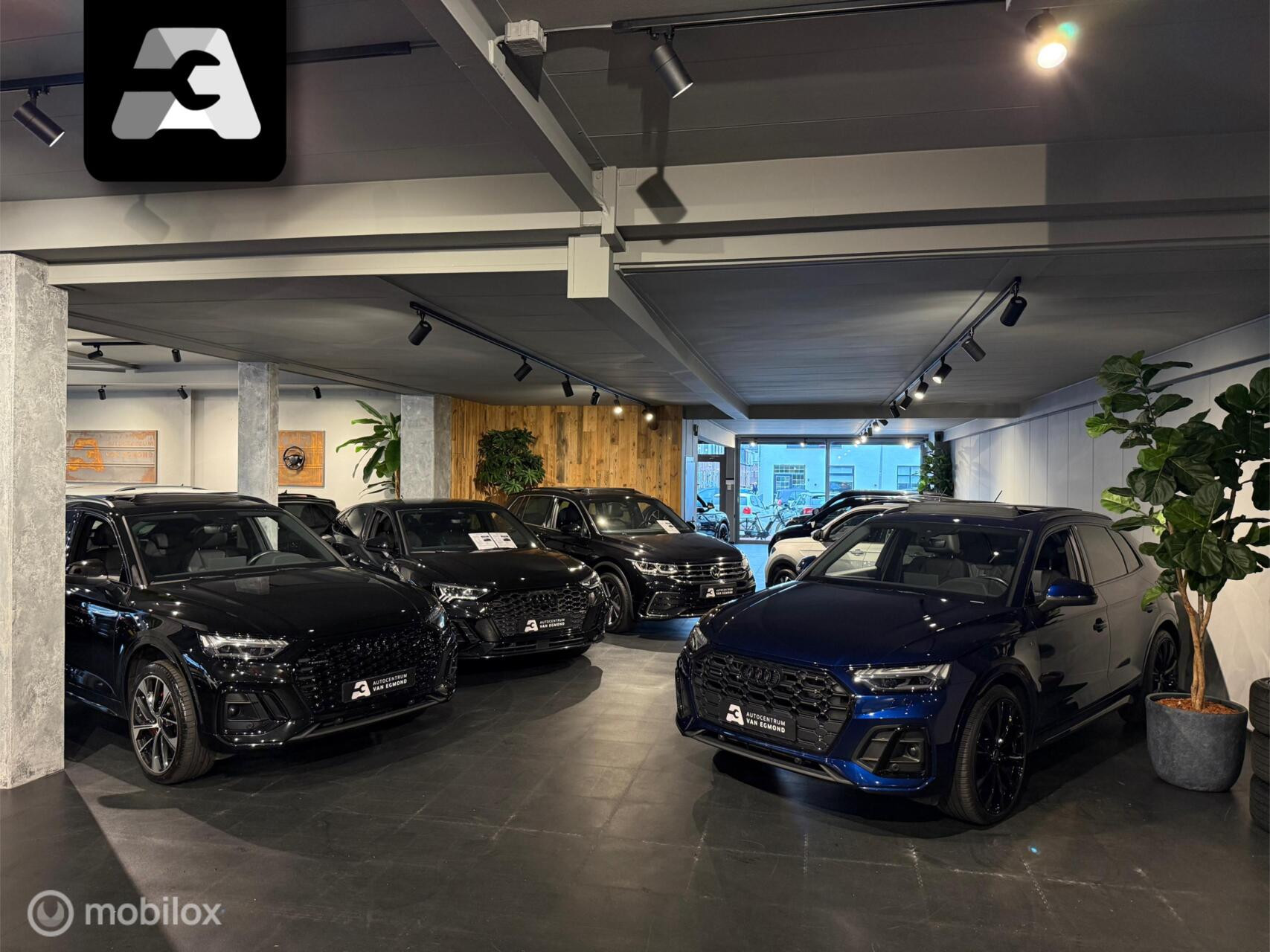 Hoofdafbeelding Audi Q5