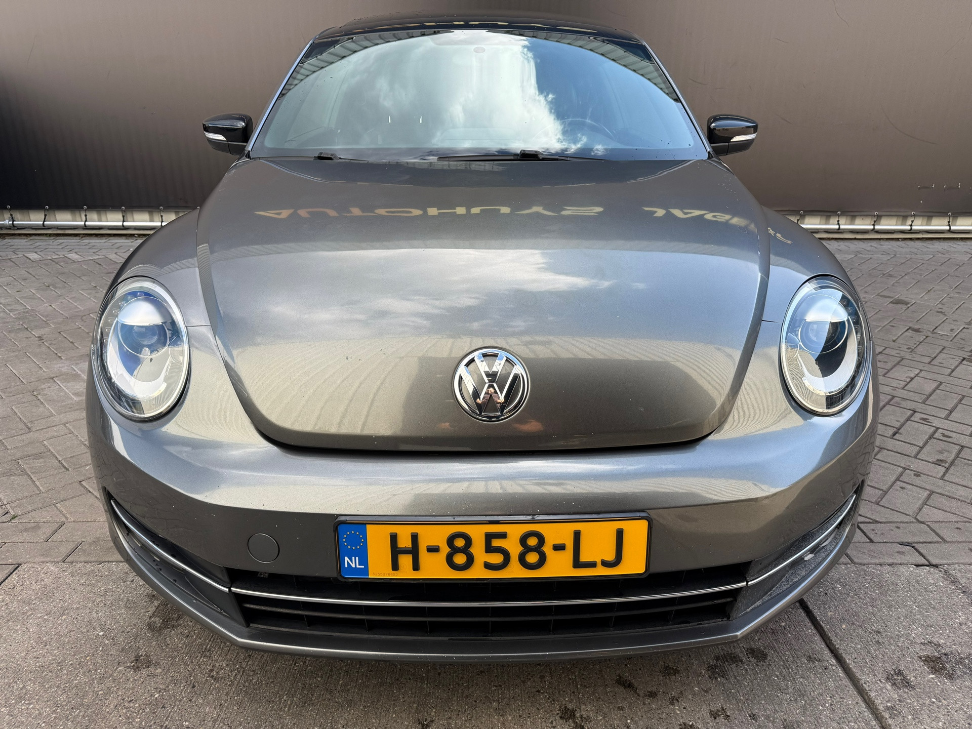 Hoofdafbeelding Volkswagen Beetle