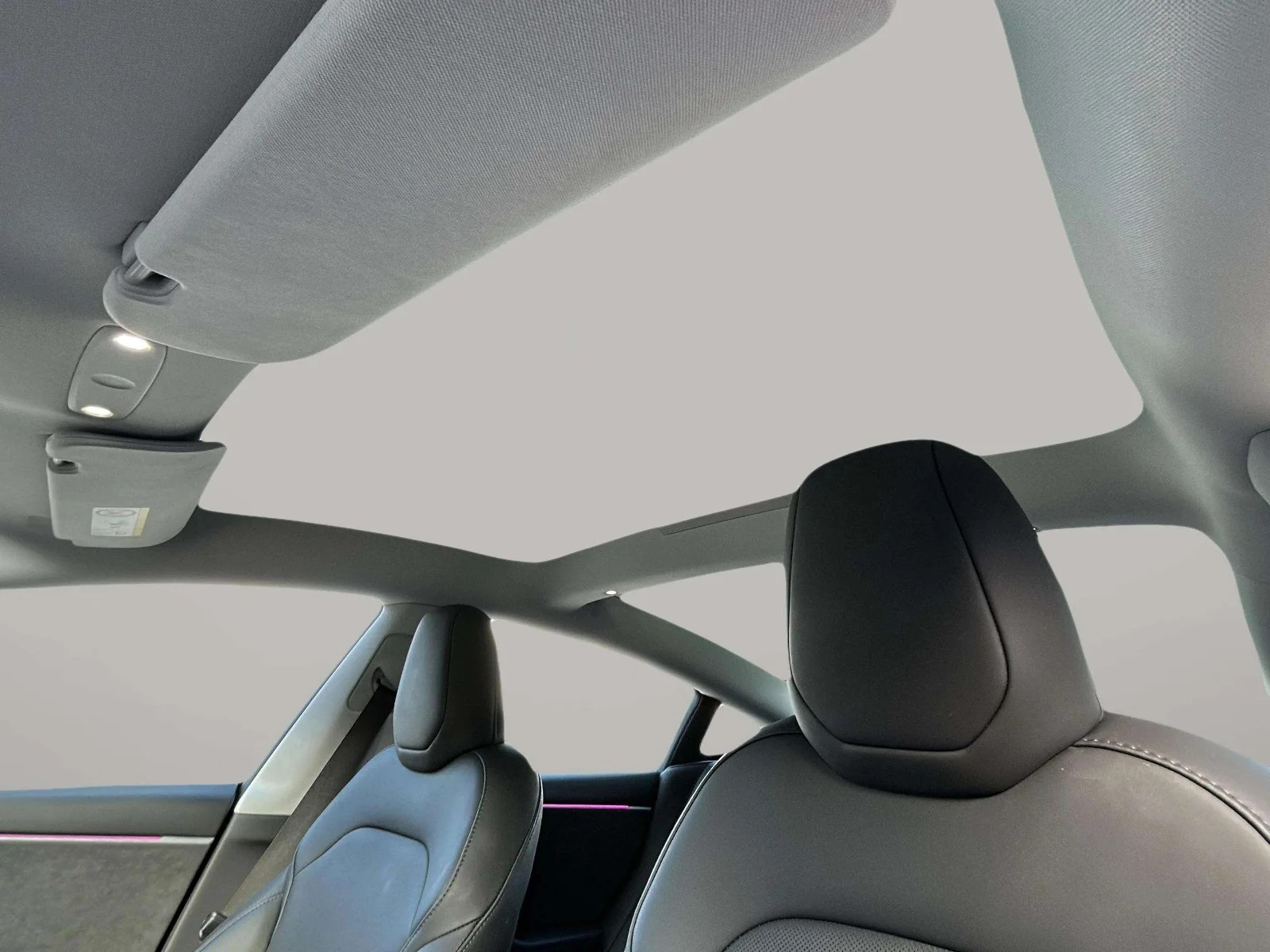 Tesla-Model 3-image-14