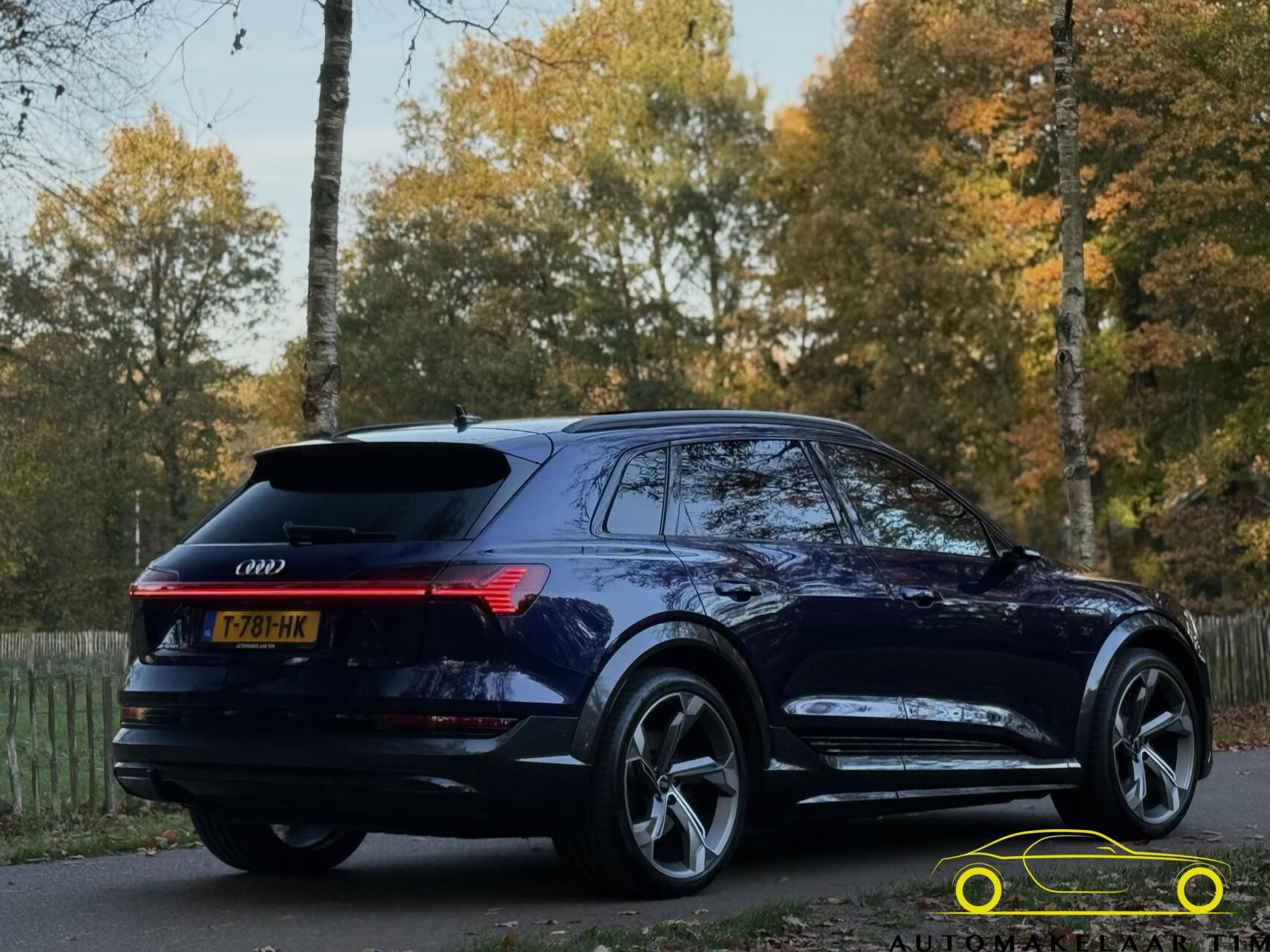 Hoofdafbeelding Audi e-tron