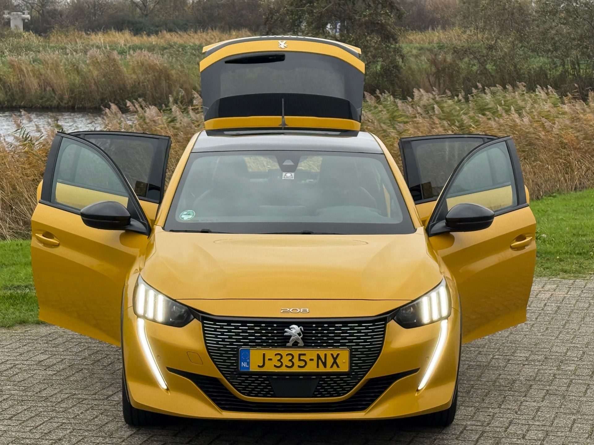 Hoofdafbeelding Peugeot 208