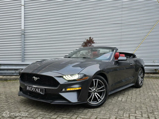 Hoofdafbeelding Ford Mustang Ford USA Mustang 2.3 Ecoboost Cabrio | AUT | Navi
