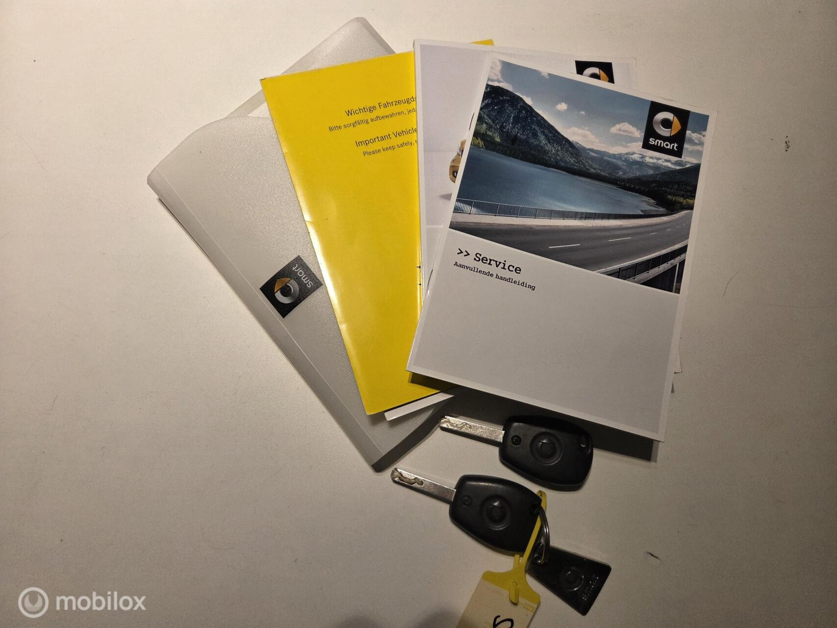 Hoofdafbeelding smart Forfour