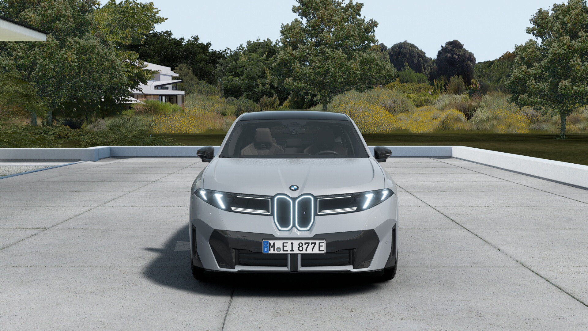 Hoofdafbeelding BMW iX3