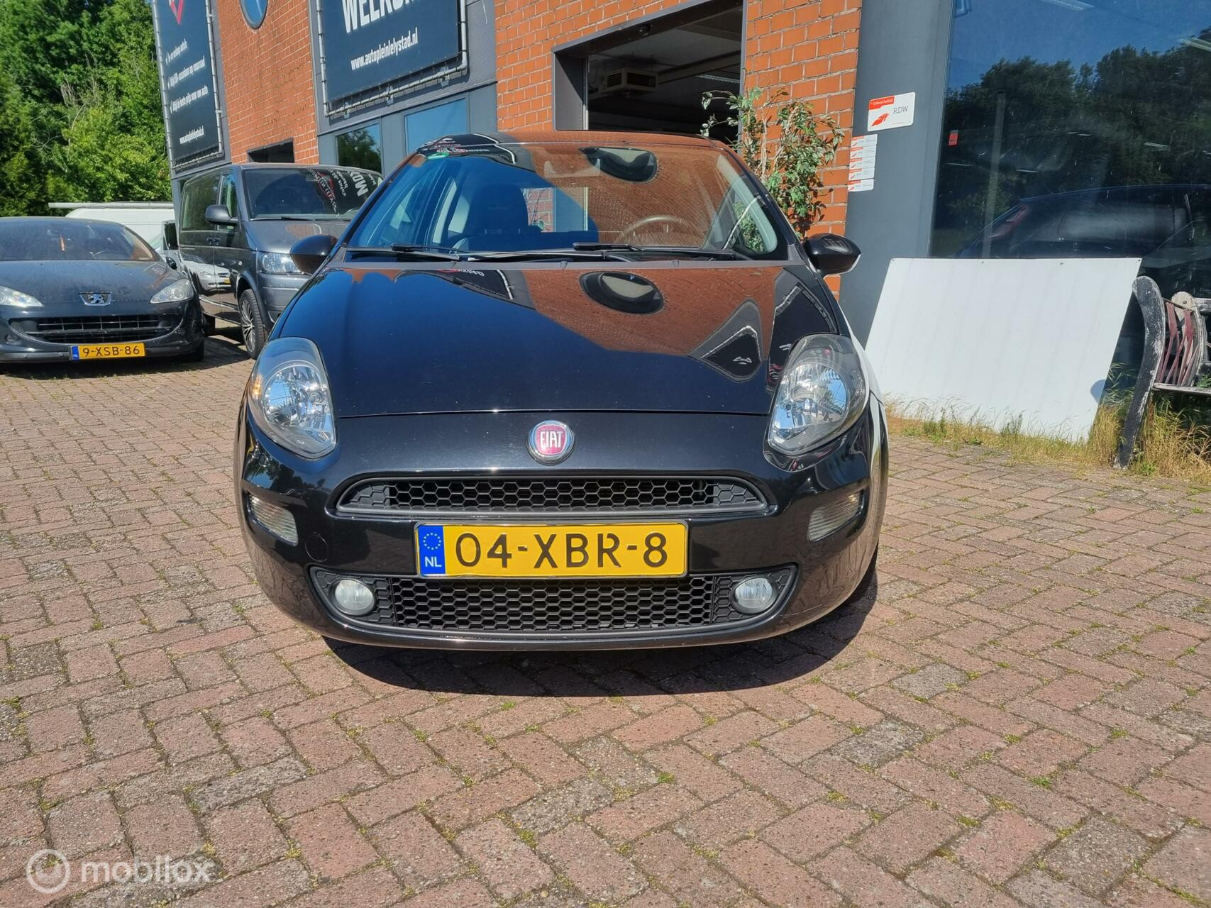 Hoofdafbeelding Fiat Punto