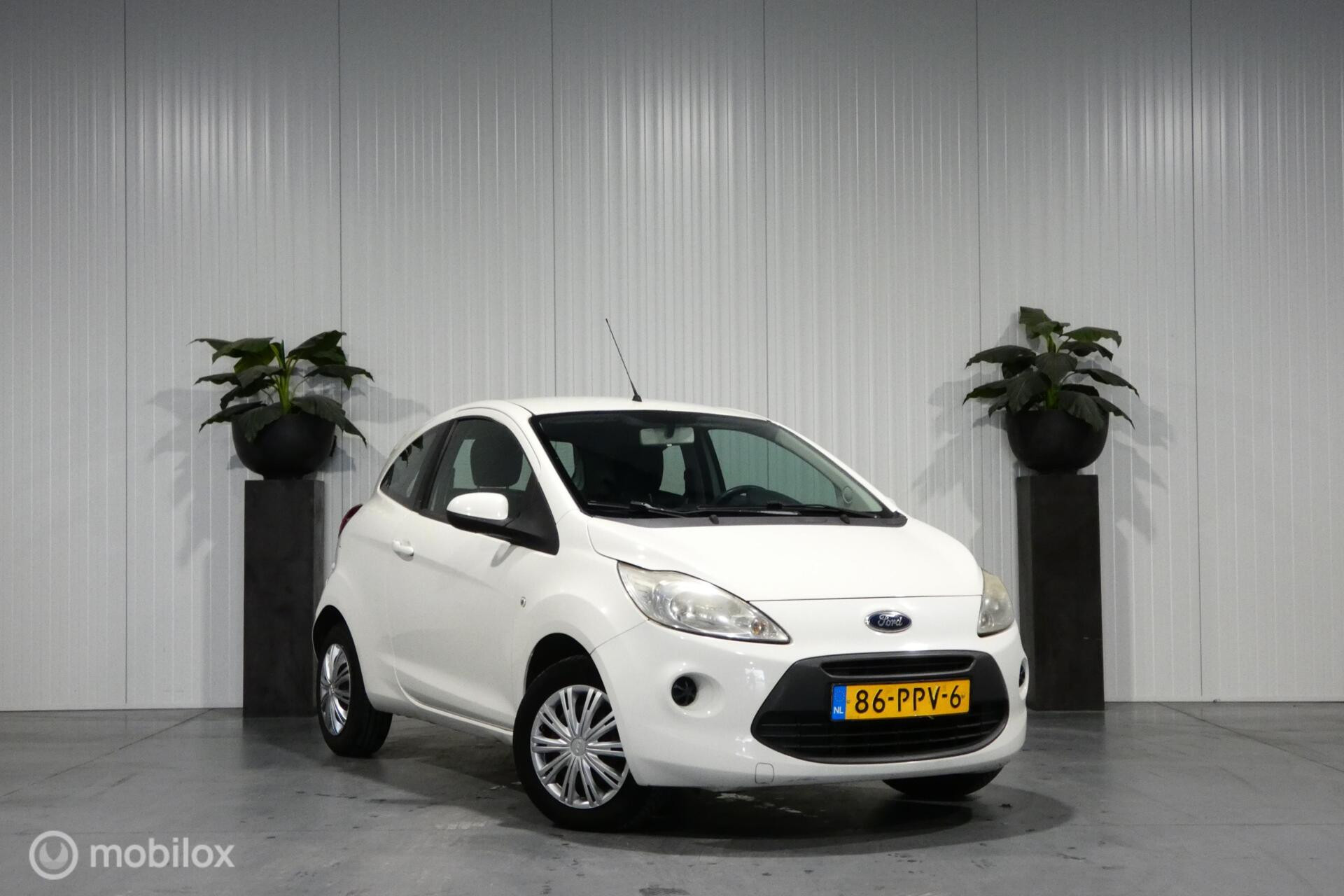 Hoofdafbeelding Ford Ka