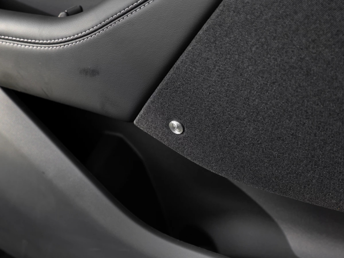 Ford-Mustang Mach-E-image-19