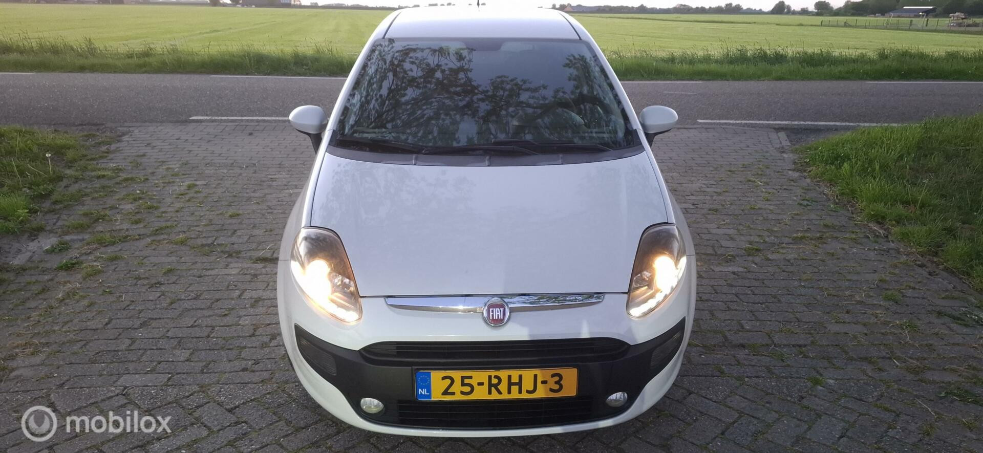 Hoofdafbeelding Fiat Punto