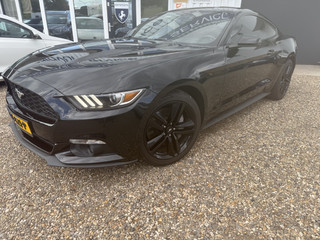 Ford Mustang Fastback 2.3 EcoBoost AUTOM*88 dkm*CAM*LEDER