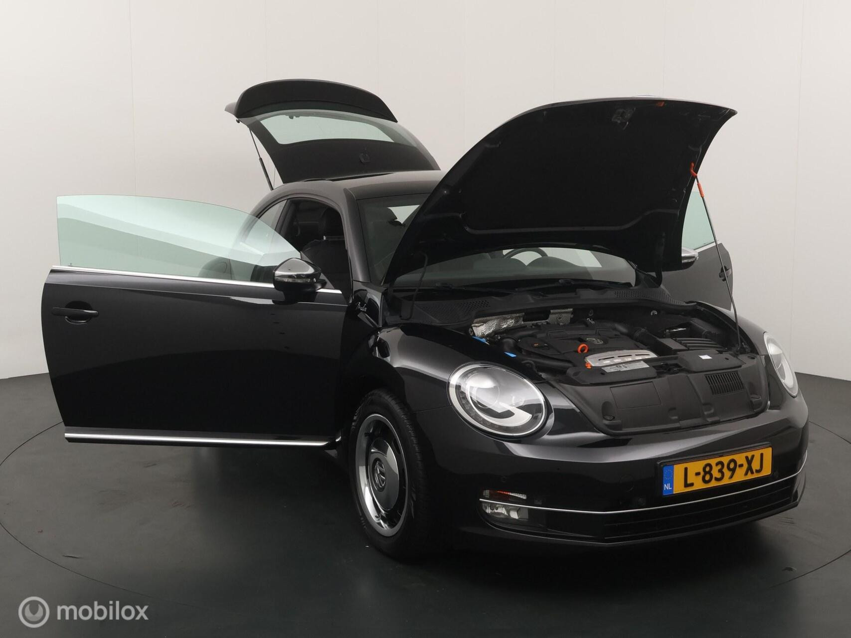 Hoofdafbeelding Volkswagen Beetle