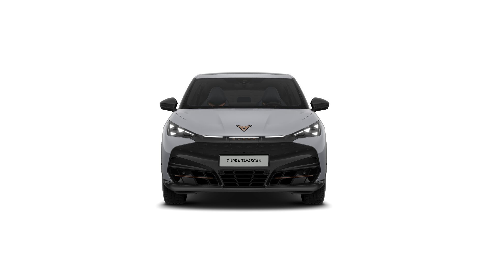 Hoofdafbeelding CUPRA Tavascan