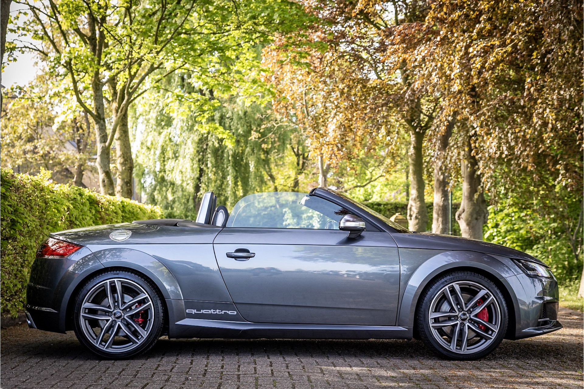 Hoofdafbeelding Audi TTS