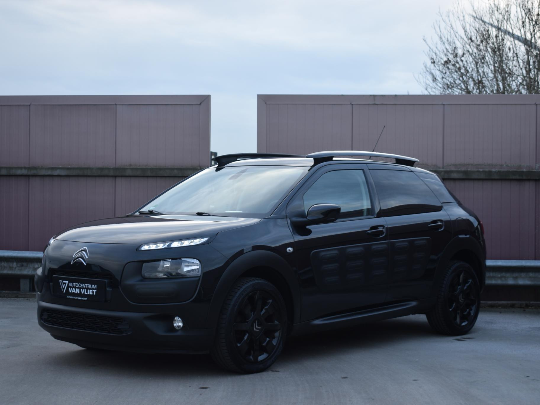 Hoofdafbeelding Citroën C4 Cactus