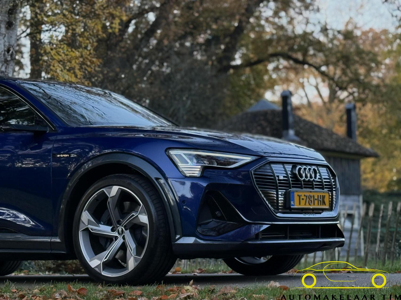 Hoofdafbeelding Audi e-tron