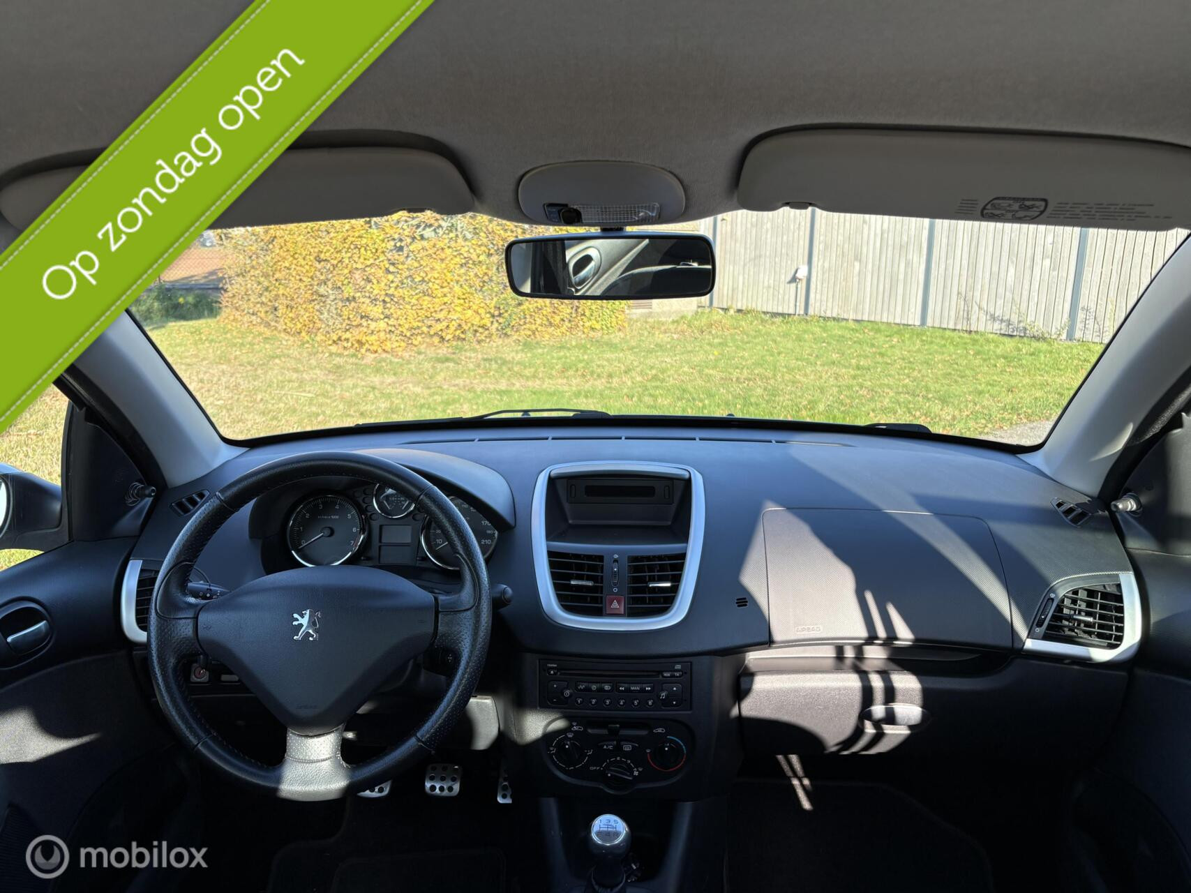 Hoofdafbeelding Peugeot 206