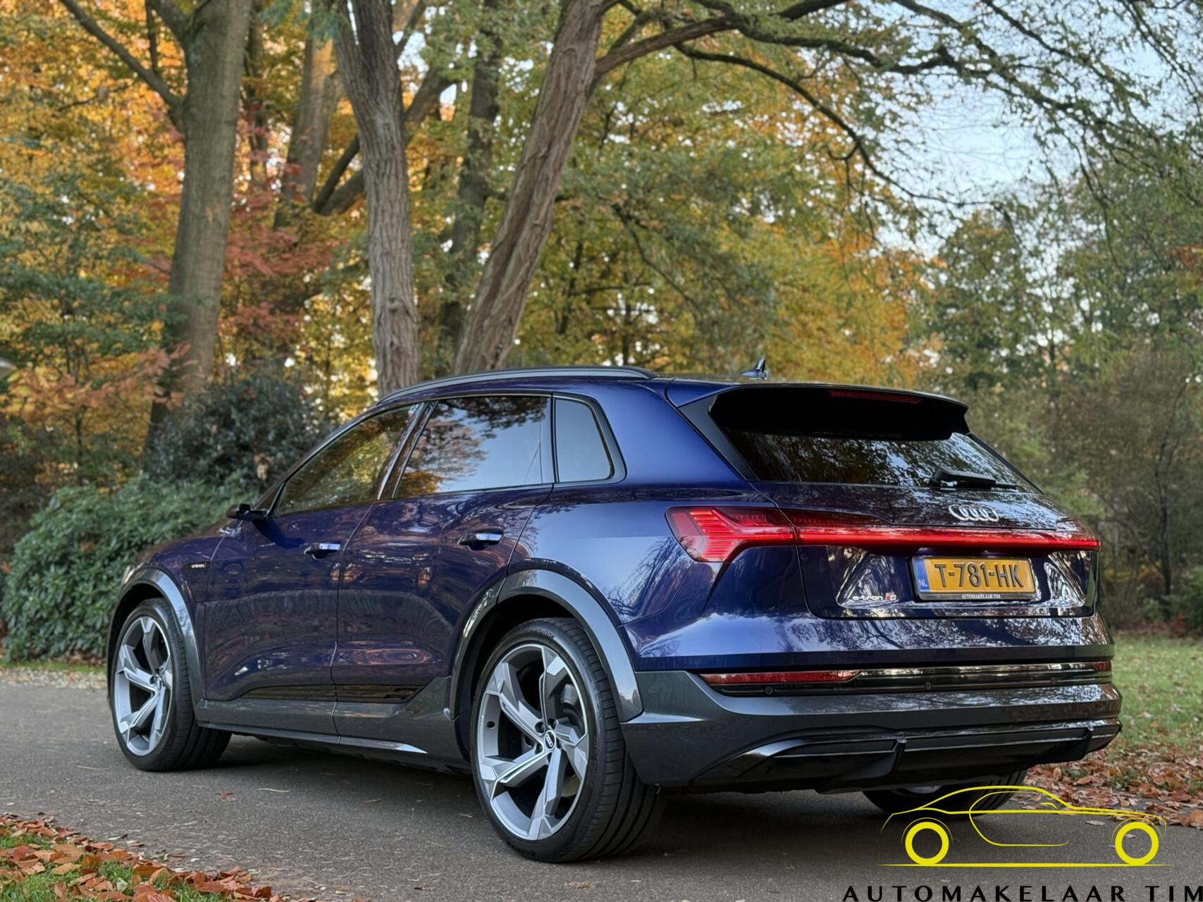 Hoofdafbeelding Audi e-tron