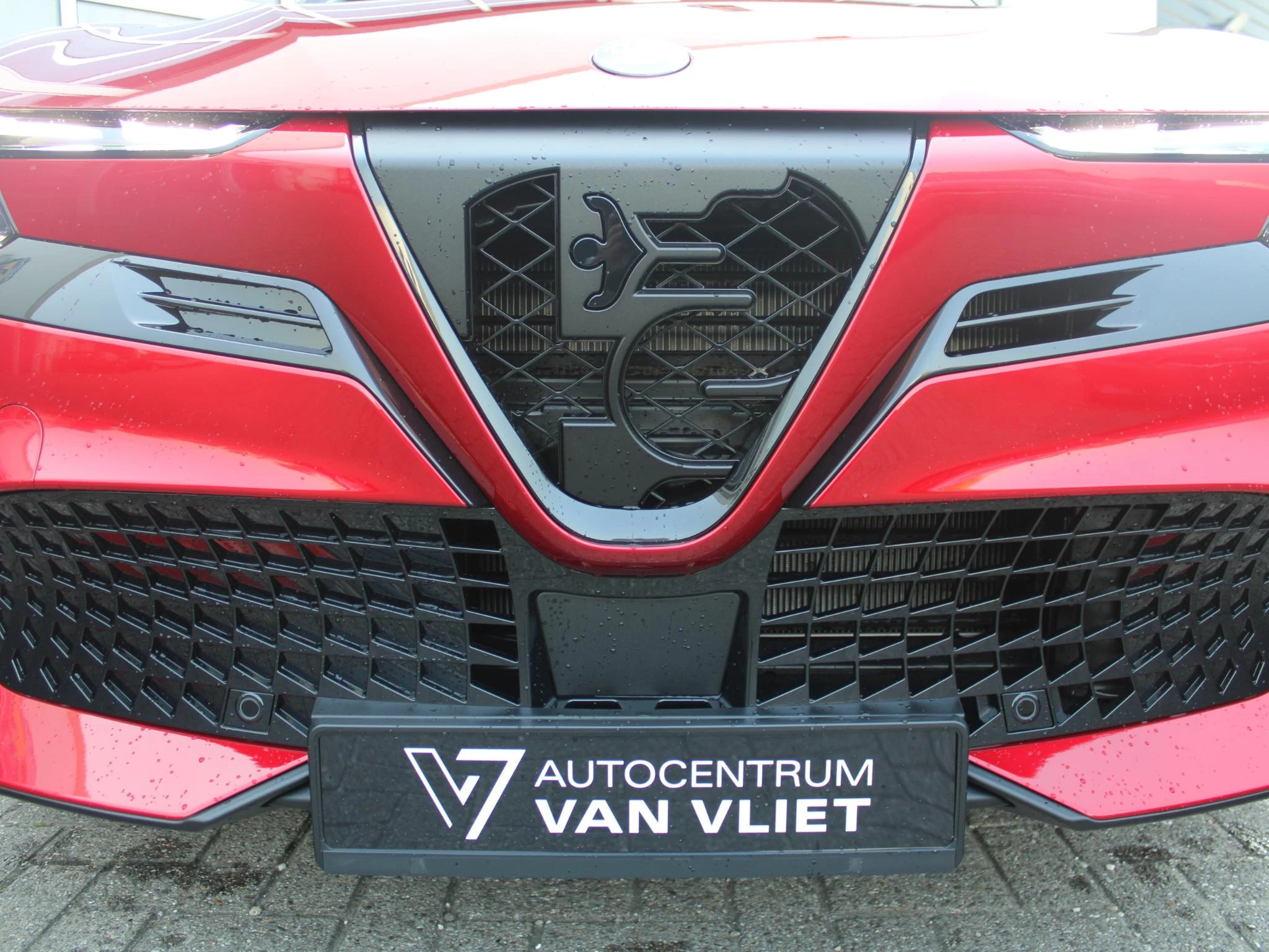 Hoofdafbeelding Alfa Romeo Junior