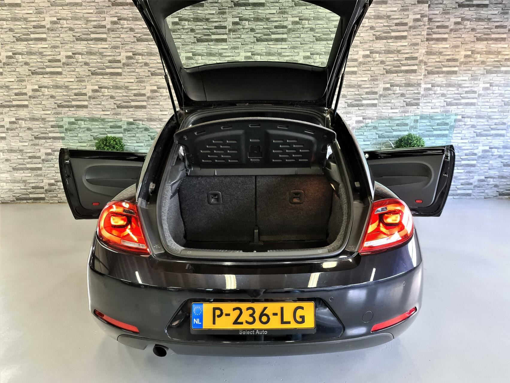 Hoofdafbeelding Volkswagen Beetle