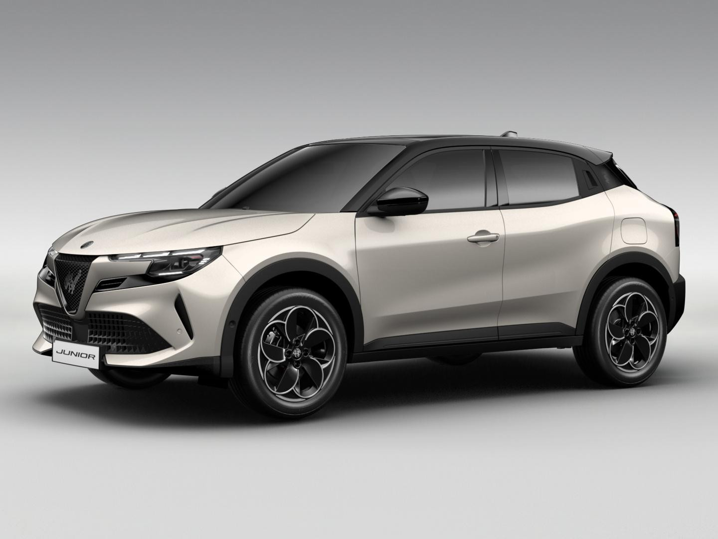 Hoofdafbeelding Alfa Romeo Junior