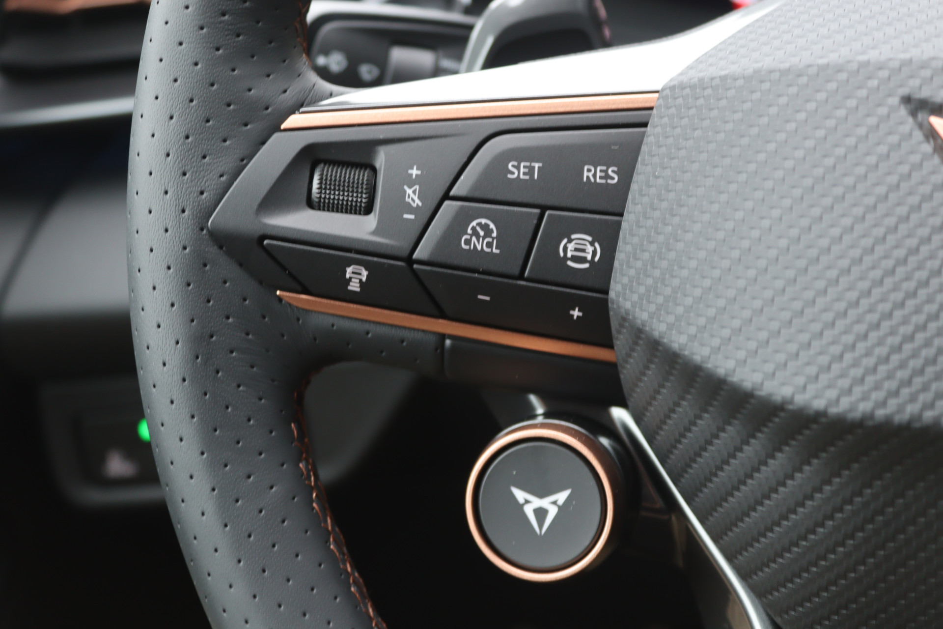 Hoofdafbeelding CUPRA Terramar