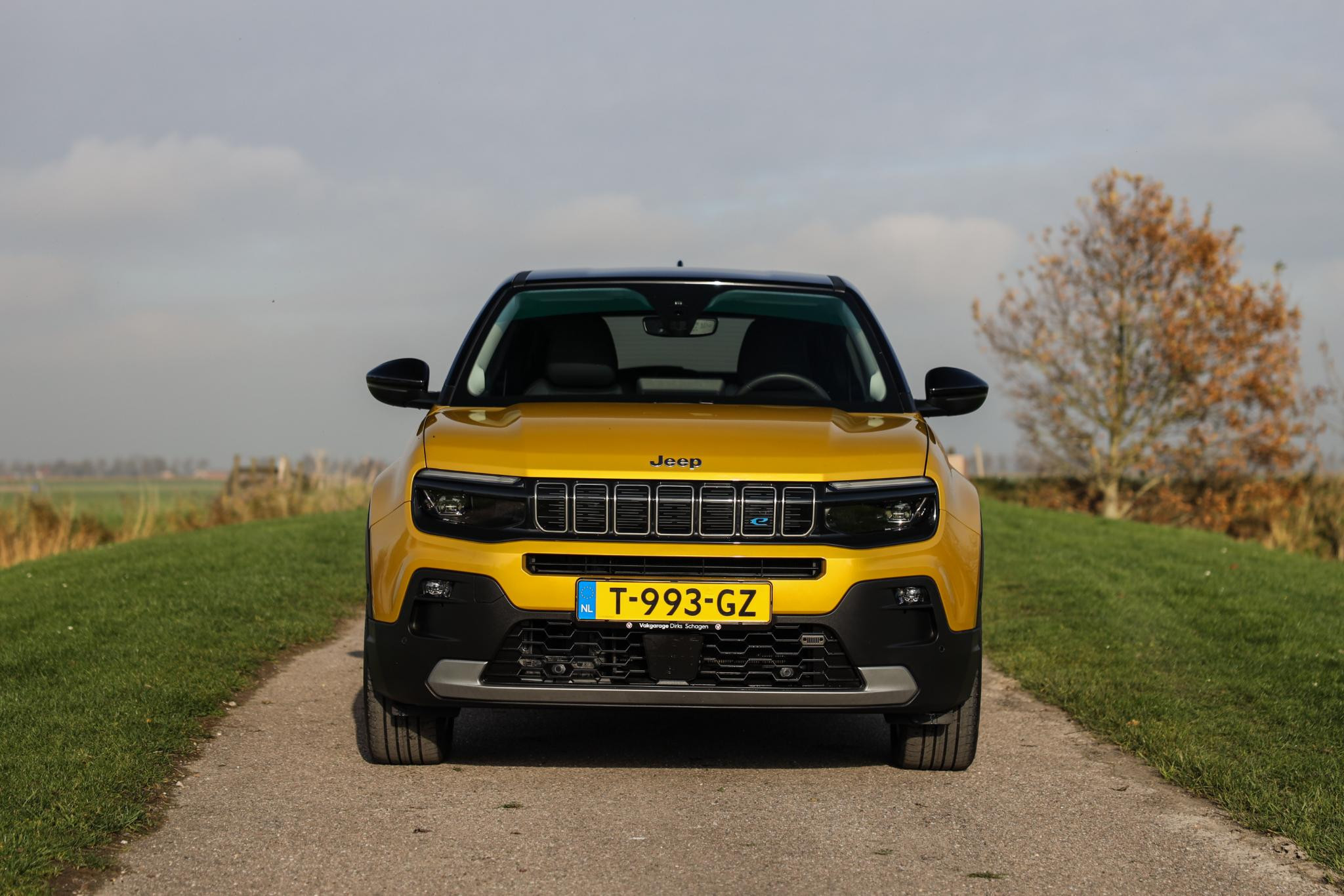 Hoofdafbeelding Jeep Avenger