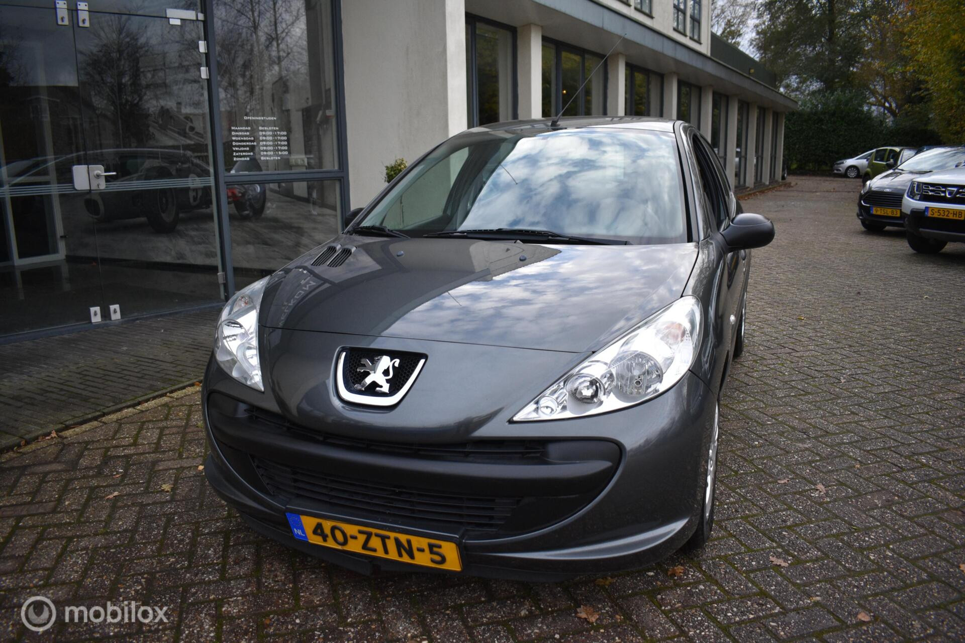 Hoofdafbeelding Peugeot 206