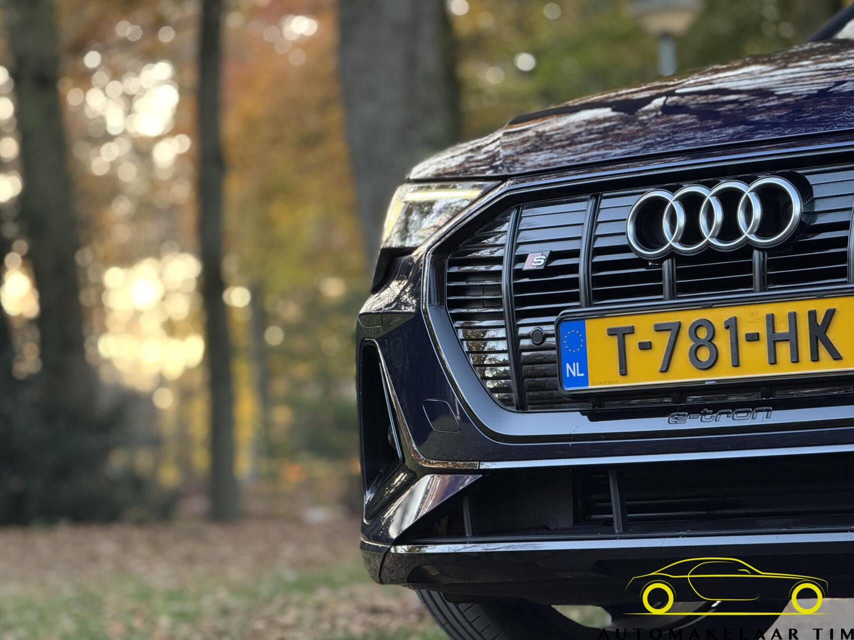 Hoofdafbeelding Audi e-tron