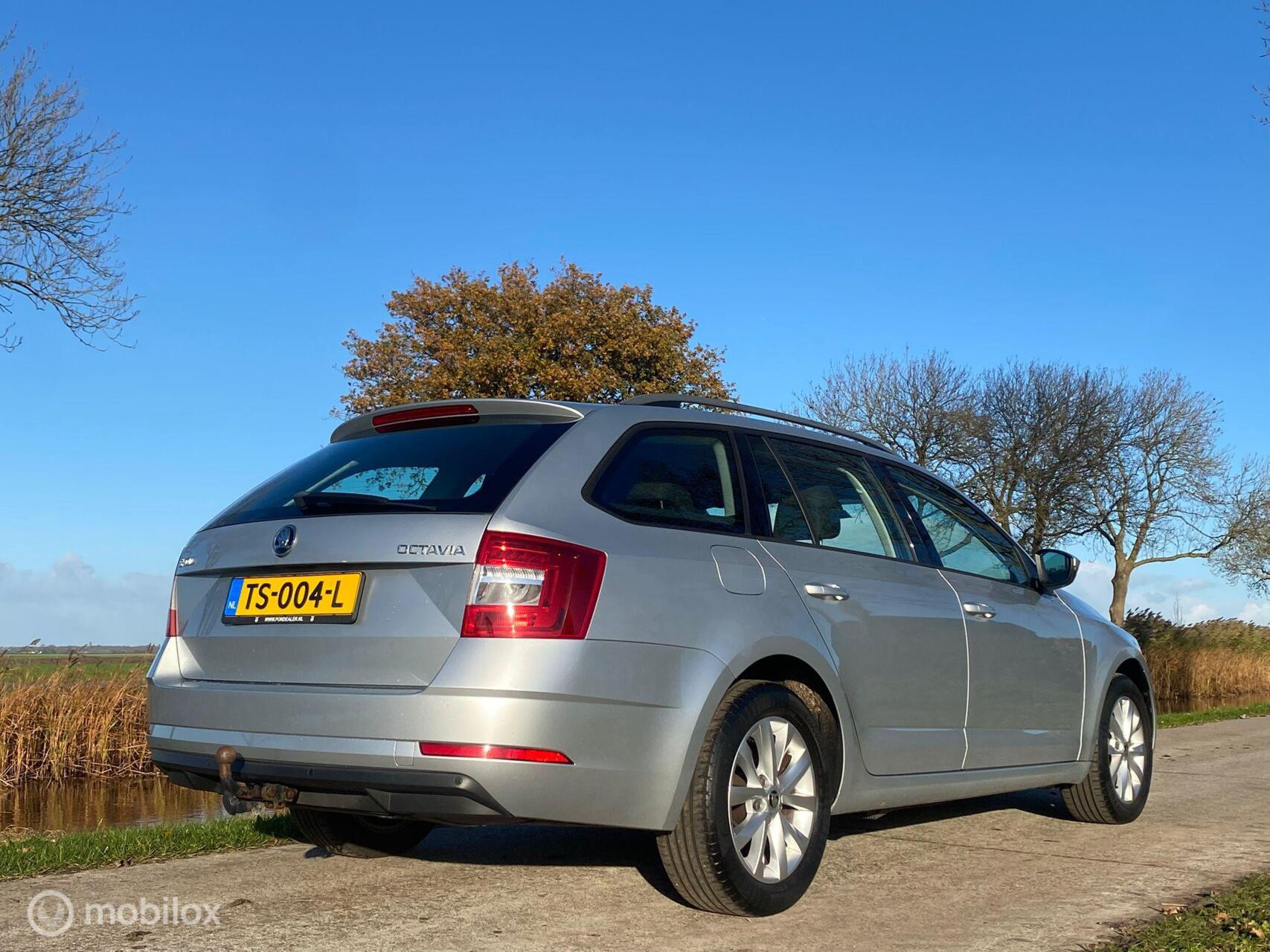 Hoofdafbeelding Škoda Octavia