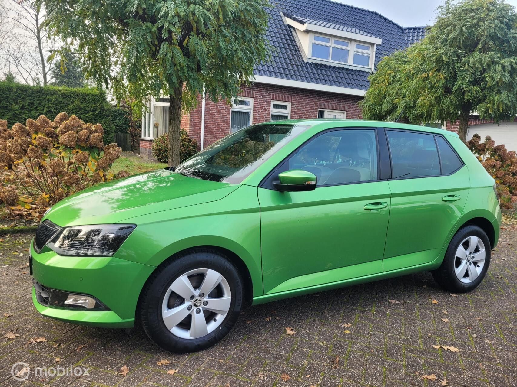Hoofdafbeelding Škoda Fabia