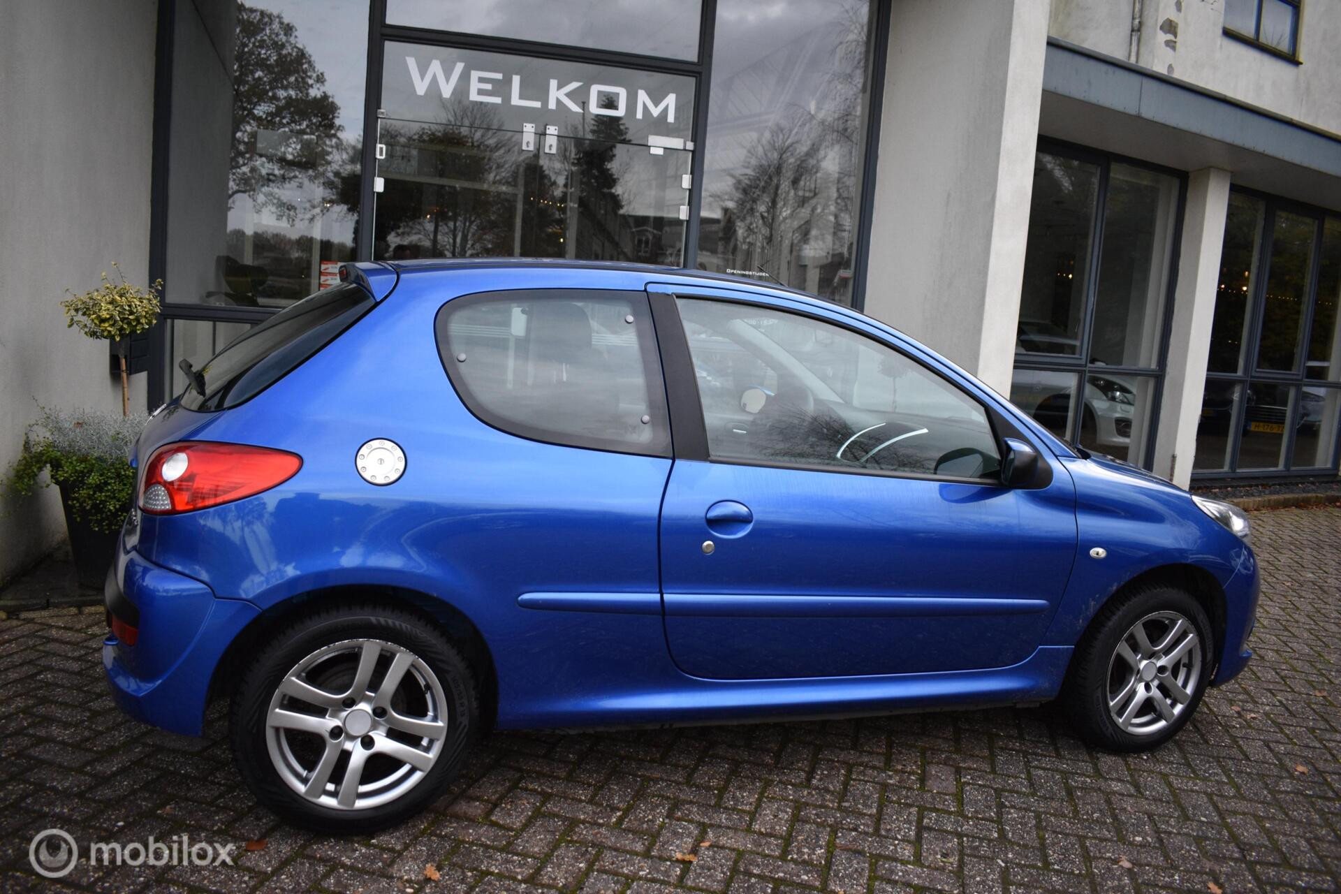Hoofdafbeelding Peugeot 206