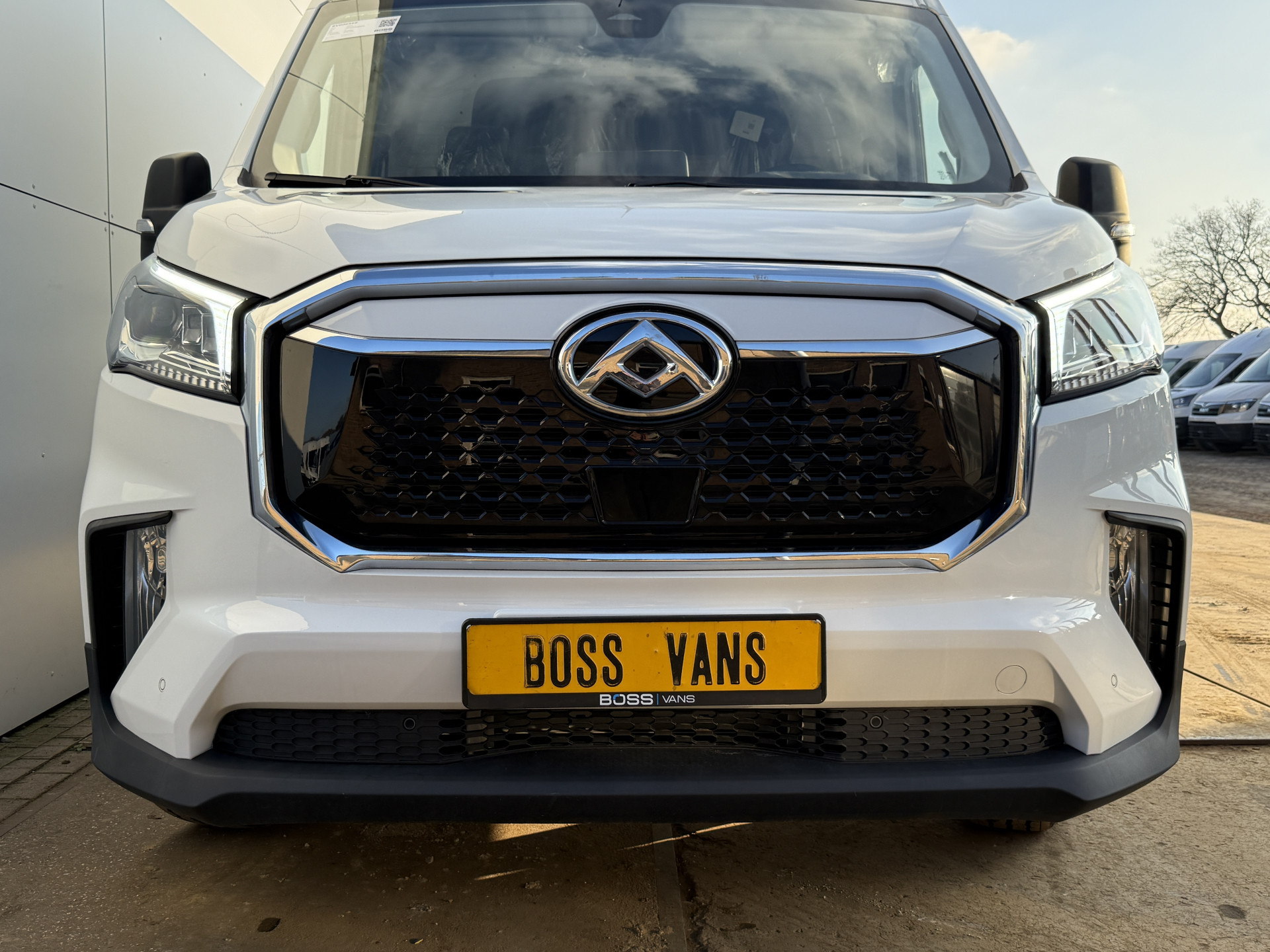 Hoofdafbeelding Maxus eDeliver9