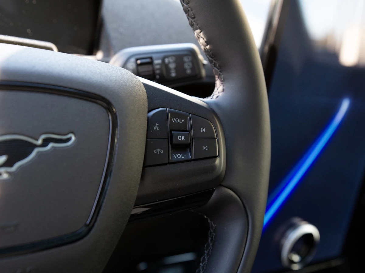 Ford-Mustang Mach-E-image-16