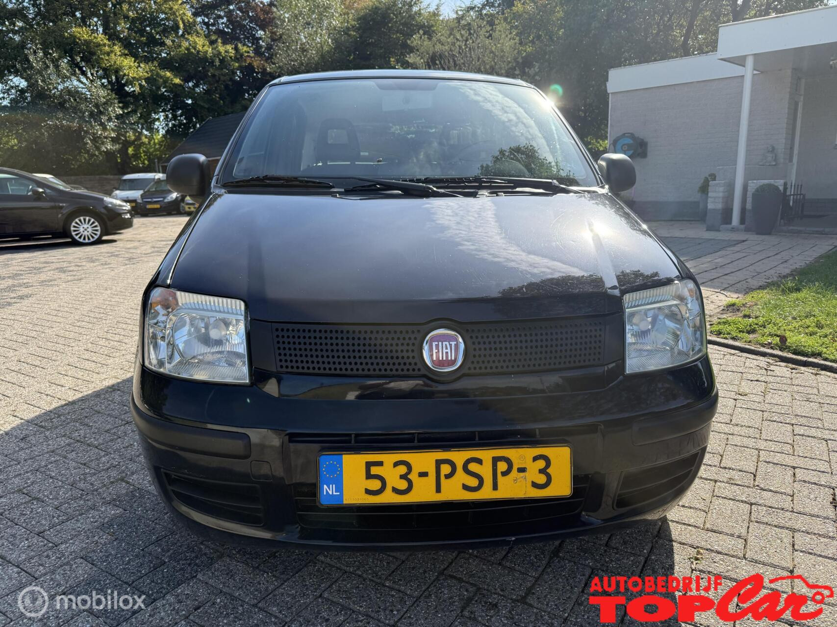 Hoofdafbeelding Fiat Panda