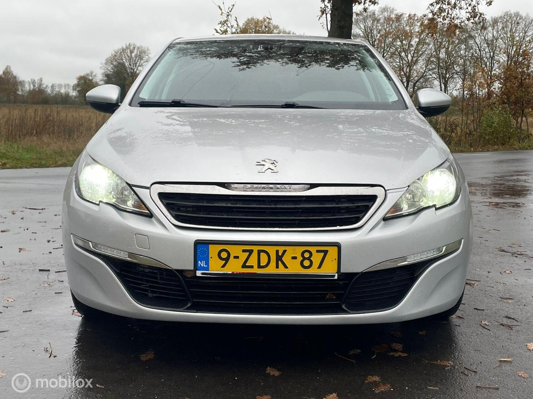 Hoofdafbeelding Peugeot 308