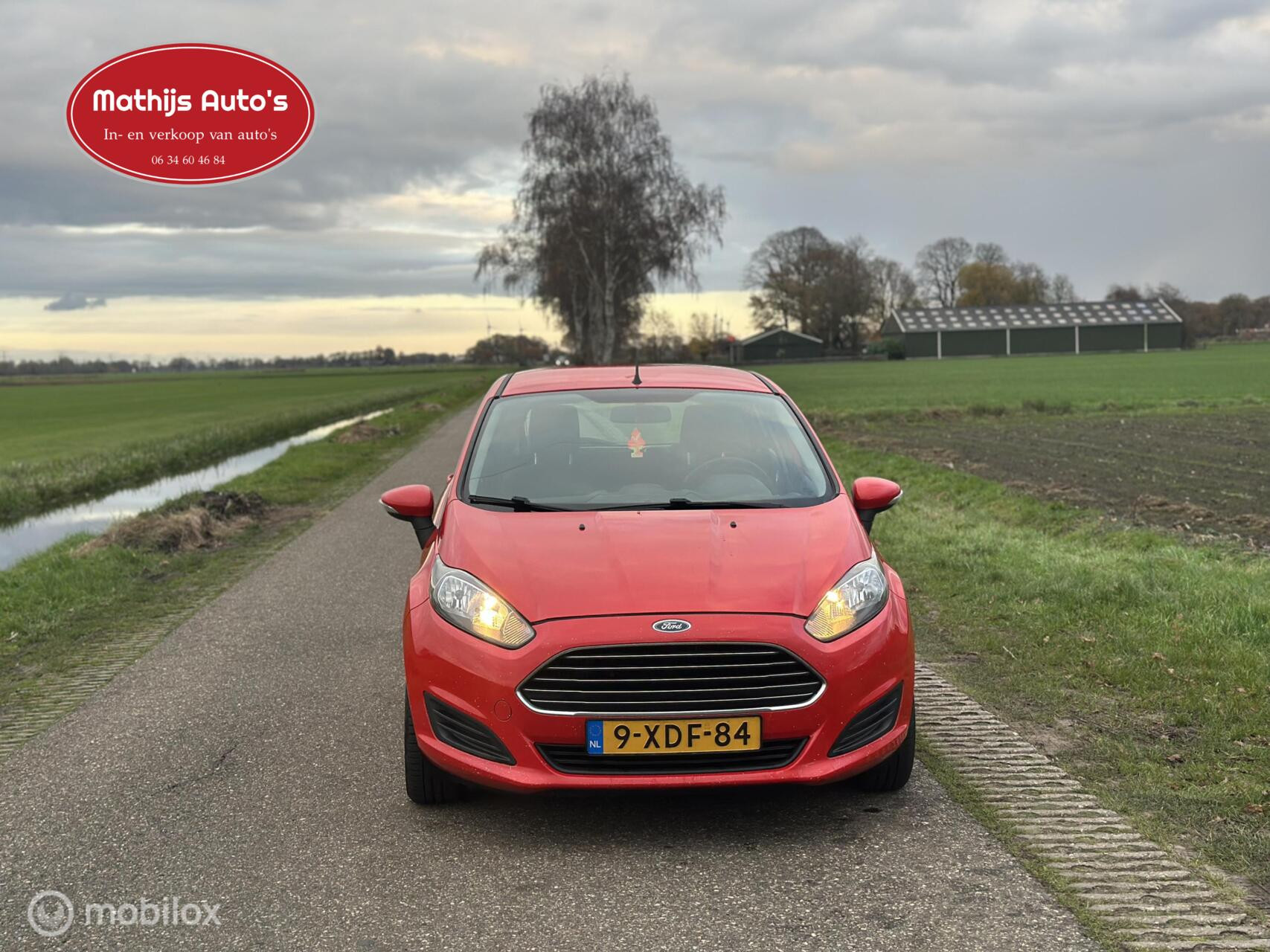 Hoofdafbeelding Ford Fiesta