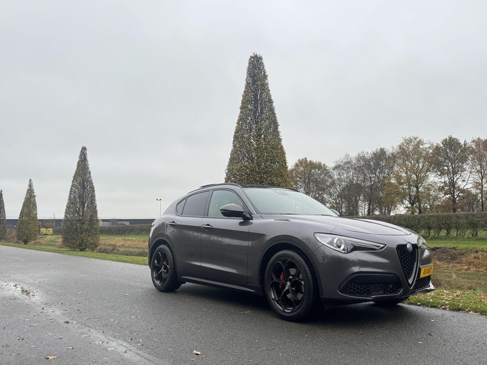 Hoofdafbeelding Alfa Romeo Stelvio
